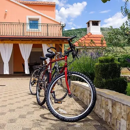 Hébergement de vacances Anica Cavoglave