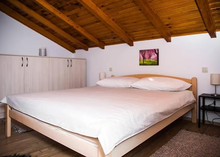 Holiday home Anica Cavoglave